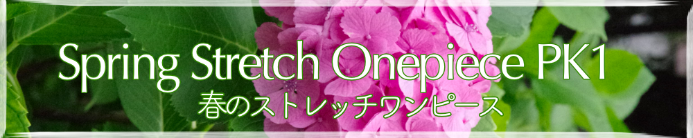 Spiring Stretch Onepiece PK1