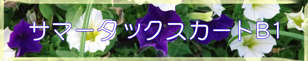 サマータックスカートB1