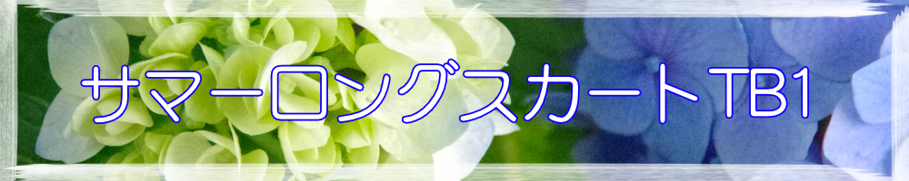 サマーロングスカートTB1