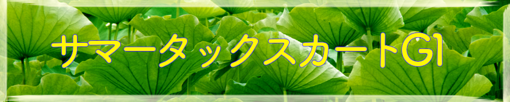 サマータックスカートB1