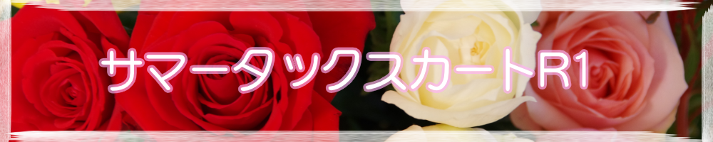 サマータックスカートB1